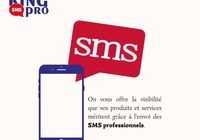 SMS PROFESSIONNELS... ANNONCES Bazarok.fr