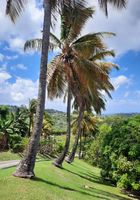 Villa piscine de standing vue mer en Martinique... ANNONCES Bazarok.fr
