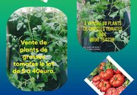 Vente de plantes... ANNONCES Bazarok.fr